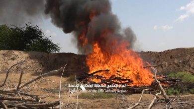 Photo of تقرير: قيادات حوثية بارزة تشرف على عملية تهريب المخدرات الإيرانية إلى اليمن ودول الجوار