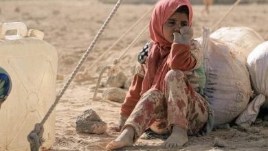 Photo of الهجرة الدولية تكشف عن ارتفاع طفيف في حالات النزوح خلال الأسبوع الثاني من نوفمبر