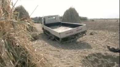 Photo of تفكيك حقل ألغام عقب انفجار لغم حوثي بشاحنة نقل في حيس جنوبي الحديدة