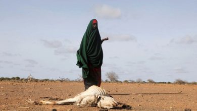 Photo of الصومال وإثيوبيا على رأس قائمة المراقبة للجنة الإنقاذ الدولية