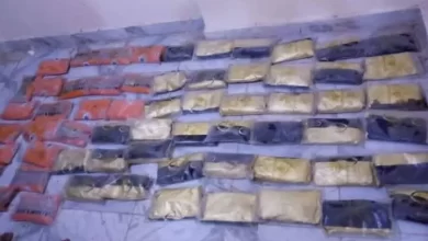 Photo of أبين..مصادرة كميات من مادتي الحشيش والشبو المخدرة في ساحل زنجبار