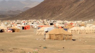Photo of الهجرة الدولية : عام 2022 الأقل نزوحاً بين الثلاثة الأعوام الأخيرة