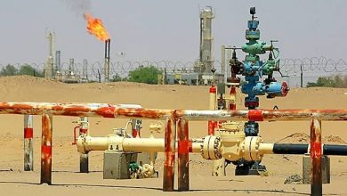 Photo of الحكومة تنفي موافقتها على استحواذ شركة نفطية هولندية على حصة شركة (OMV) النمساوية في شبوة