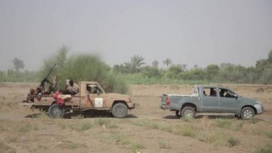 Photo of المشتركة تحبط تحركات حوثية جنوبي الحديدة