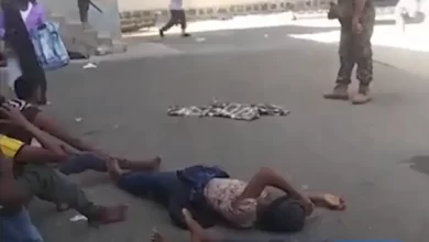 Photo of أعلى معدل شهري للمهاجرين الأفارقة إلى اليمن في عامين