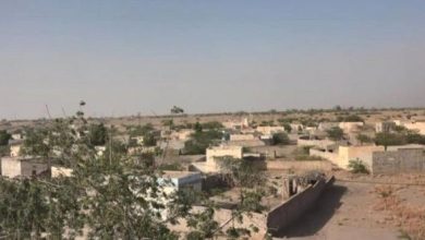 Photo of مليشيا الحوثي تستهدف قرى آهلة بالسكان في الساحل الغربي