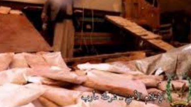 Photo of مأرب.. ضبط شحنة ثالثة من الممنوعات كانت في طريقها إلى مليشيا الحوثي