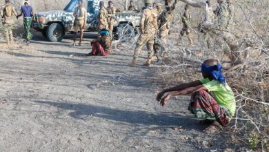 Photo of الجيش يقتل 23 من مقاتلي حركة الشباب في ولاية جوبالاند