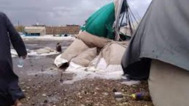 Photo of وحدة النازحين بمارب: أكثر من 9 آلاف أسرة نازحة تضررت جراء الأمطار والسيول خلال 10 أيام