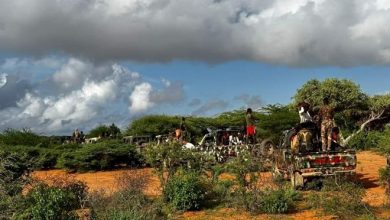Photo of الصومال..استعادة مناطق جديدة في إقليم هيران من حركة الشباب