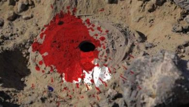 Photo of لجنة للتحقيق : 1840 ضحية مدني سقطوا بالغام الحوثي خلال 7 سنوات