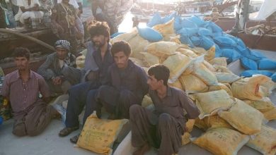 Photo of ضبط سفينة إيرانية تحمل 3 طن مخدرات بسواحل المهرة