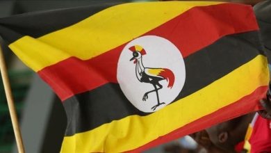 Photo of أوغندا تعلن إحباط هجوم إرهابي يستهدف العاصمة كمبالا