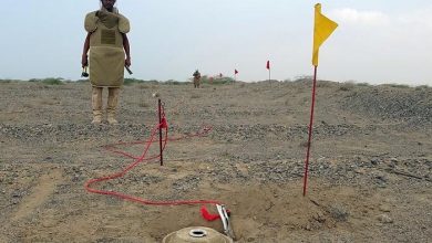 Photo of مقتل طفل بانفجار لغم حوثي شرق الدريهمي بالحديدة