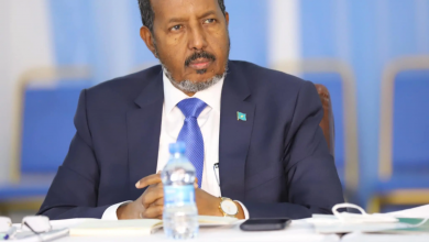 Photo of الرئيس الصومالي يقر بدعم دولي هائل لحكومته في العمليات ضد حركة الشباب
