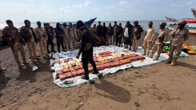 Photo of قوات العمالقة تضبط شحنة مخدرات كبيرة قرب باب المندب وتلقي القبض على طاقم قارب تهريب