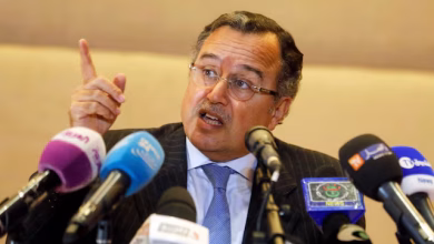 Photo of وزراء الخارجية العرب يختارون نبيل فهمي أمينا عاما للجامعة العربية